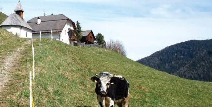 Berggasthof Trattes Olang Екстериор снимка
